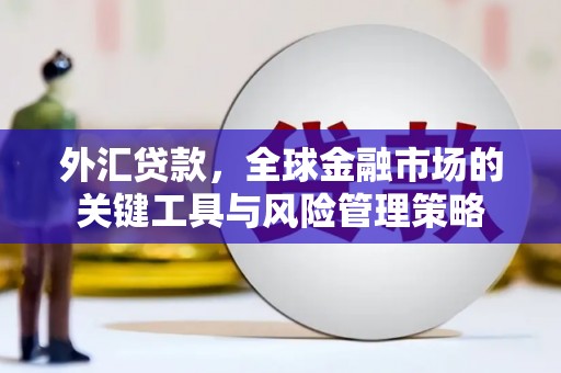 伊金霍洛旗外汇贷款，全球金融市场的关键工具与风险管理策略
