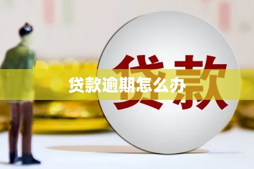 伊金霍洛旗贷款逾期怎么办