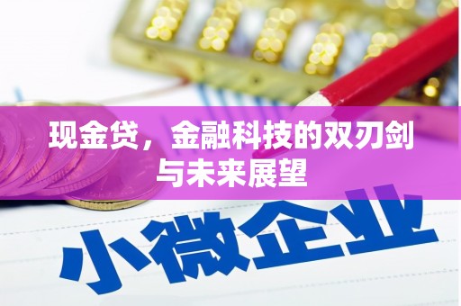 伊金霍洛旗现金贷，金融科技的双刃剑与未来展望