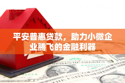 伊金霍洛旗平安普惠贷款，助力小微企业腾飞的金融利器
