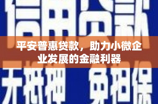伊金霍洛旗平安普惠贷款，助力小微企业发展的金融利器