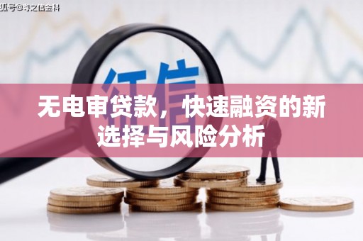伊金霍洛旗无电审贷款，快速融资的新选择与风险分析