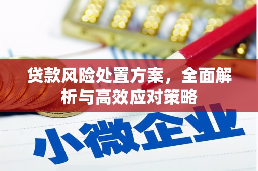 伊金霍洛旗贷款风险处置方案，全面解析与高效应对策略