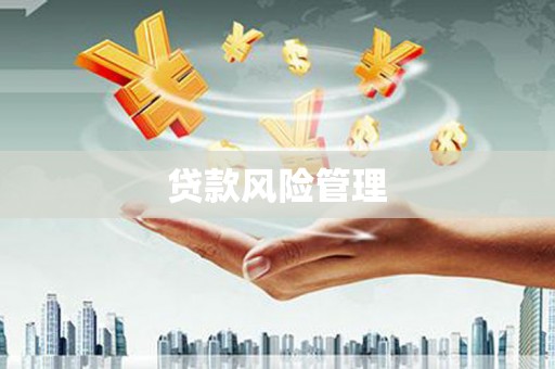 伊金霍洛旗贷款风险管理