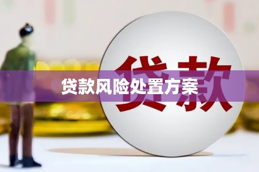 伊金霍洛旗贷款风险处置方案