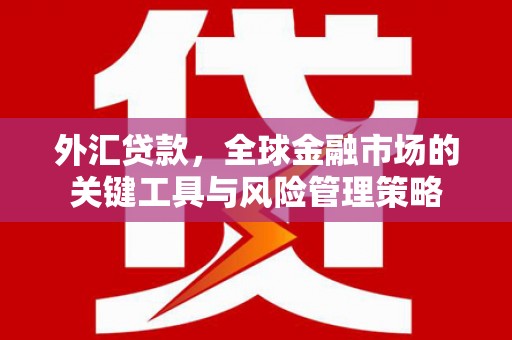 伊金霍洛旗外汇贷款，全球金融市场的关键工具与风险管理策略