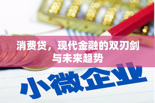 伊金霍洛旗消费贷，现代金融的双刃剑与未来趋势