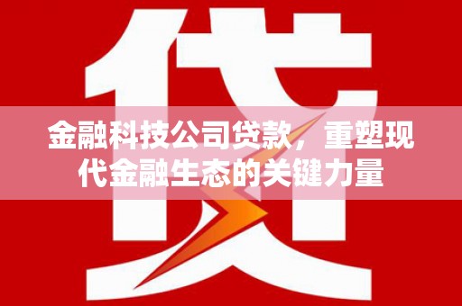 伊金霍洛旗金融科技公司贷款，重塑现代金融生态的关键力量