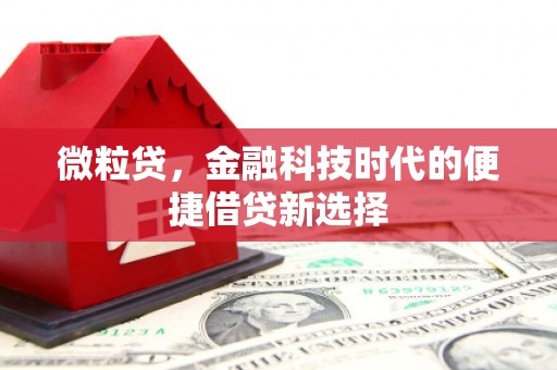 伊金霍洛旗微粒贷，金融科技时代的便捷借贷新选择