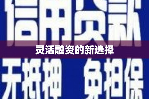 伊金霍洛旗灵活融资的新选择