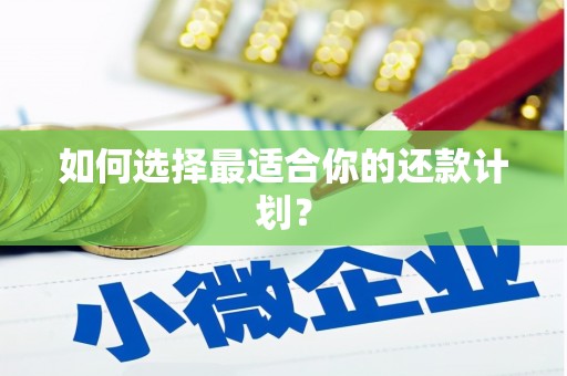 伊金霍洛旗如何选择最适合你的还款计划？